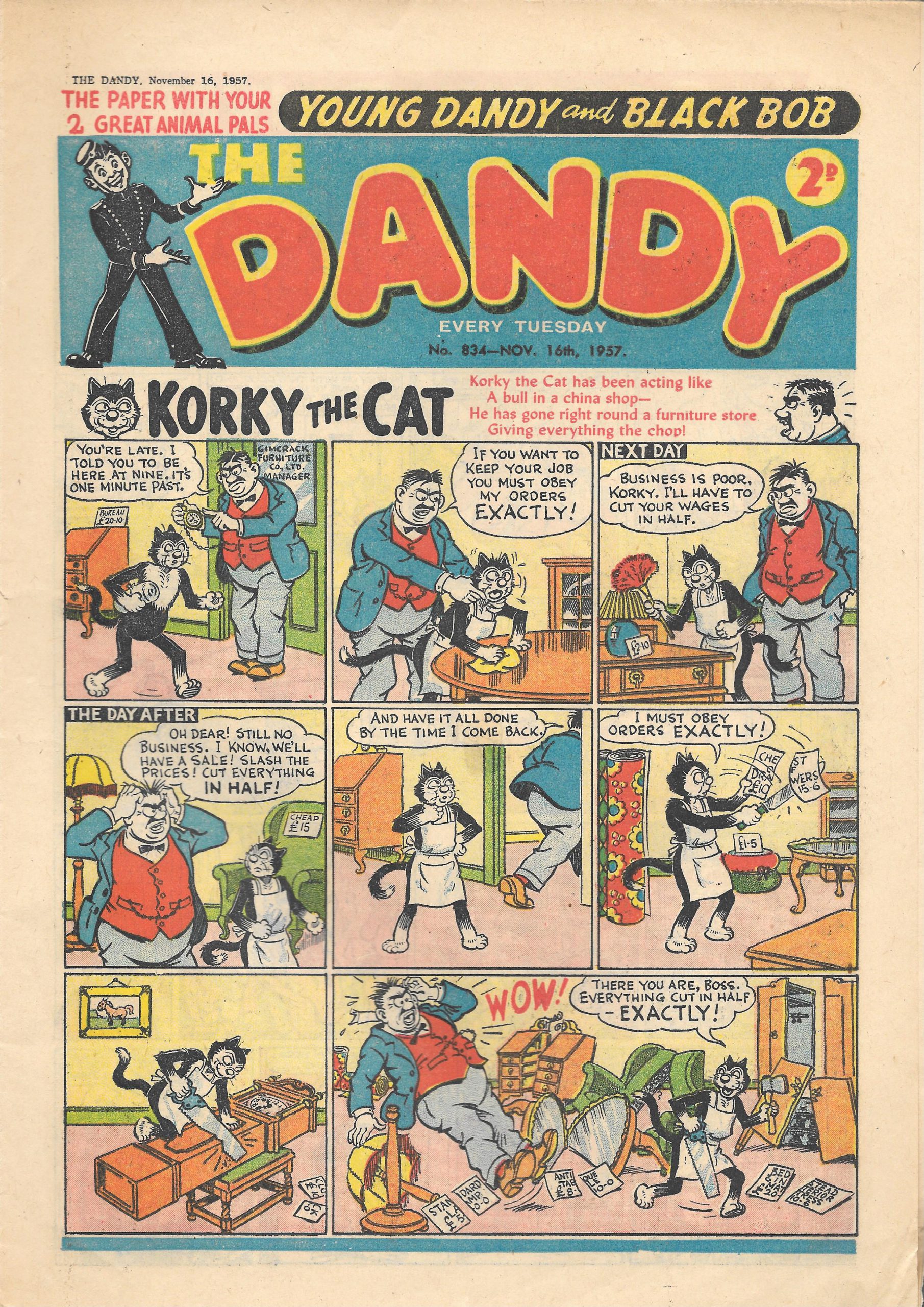 Dandy-834